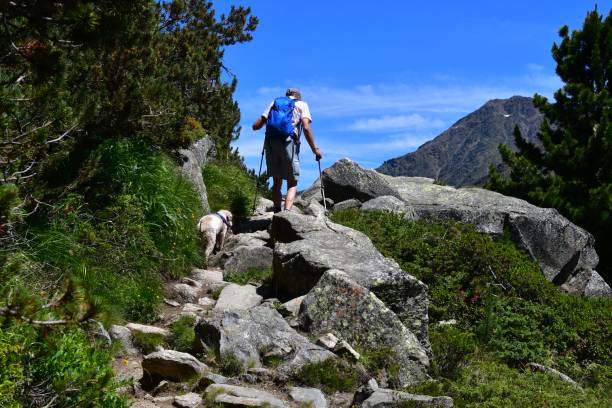 Discover the Best Time to Travel to Portugal