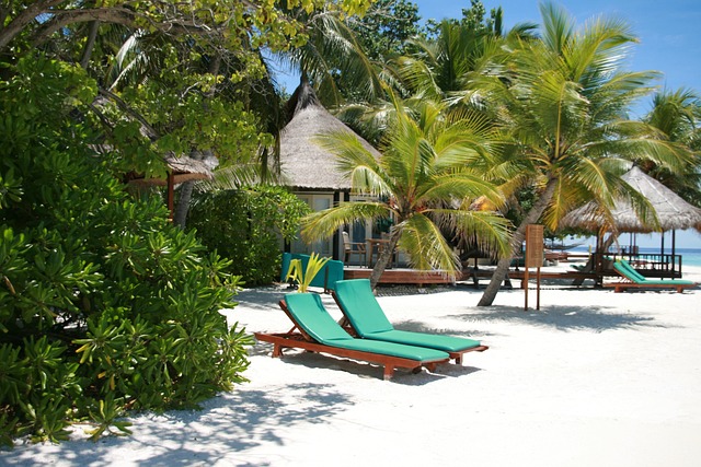 A tropical beachside resort with green sun loungers on white sand, surrounded by lush palm trees and traditional thatched-roof bungalows.